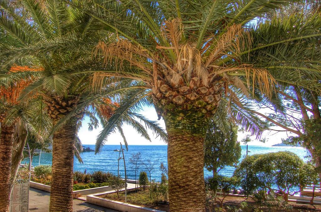 Vasiliki Seaside Apartments Petrovac المظهر الخارجي الصورة